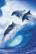 Lassen - into the blue Lassen - into the blue