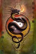 Anne Stokes - yin yang protector Anne Stokes - yin yang protector
