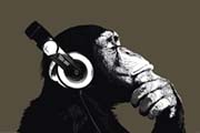 The Chimp - stereo