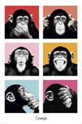 The Chimp - pop