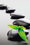 Zen Stones - green