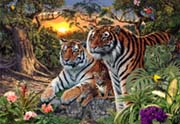 Hidden Tigers