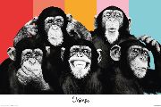 The Chimp - compilation