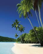 Bounty Beach Bounty Beach