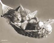 Keith Kimberlin - hammock