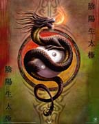 Anne Stokes - yin yang protector Anne Stokes - yin yang protector