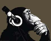 The Chimp - stereo