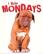 I Hate Mondays I Hate Mondays
