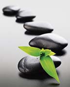 Zen Stones - green