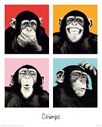 The Chimp - pop
