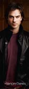 Vampire Diaries - damon salvatore