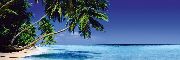 Beach - paradise lost
