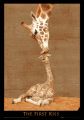 FIRST KISS�