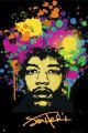 JIMI HENDRIX splatters