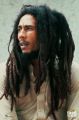 BOB MARLEY lion BOB MARLEY lion