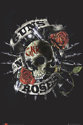 GUNS N' ROSES skull - plakat