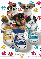 KEITH KIMBERLIN sneakers