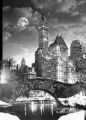 NY CENTRAL PARK Plakat 3D