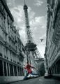 PARIS jumping Plakat 3D