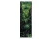 TROPICAL RAINFOREST TROPICAL RAINFOREST