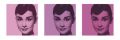 AUDREY HEPBURN pink triptych