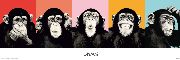 The Chimp - compilation