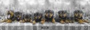 Keith Kimberlin - puppies