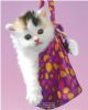 KIMBERLIN HANDBAG
