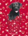 KEITH KIMBERLIN red