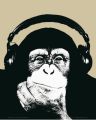 STEEZ monkee STEEZ monkee