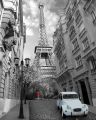 PARIS red girl blue car