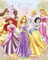 DISNEY PRINCESS once upon a time
