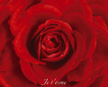 ROSE je taime