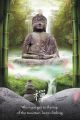 ZEN buddha