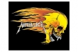 METALLICA (FLAMING SKULL)