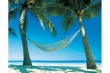 Paradise Paradise
