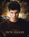 Twilight - New Moon (Jacob Trees)