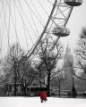 Snow On The South Bank (London)