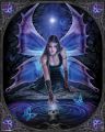 Anne Stokes (Immortal Flight) - plakat Anne Stokes (Immortal Flight) - plakat