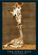 FIRST KISS