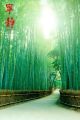 PATHWAYS tranquility PATHWAYS tranquility