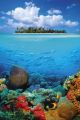 TROPICAL UNDERWATER TROPICAL UNDERWATER