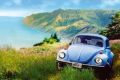 CALIFORNIA beetle CALIFORNIA beetle