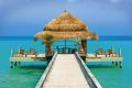 BUNGALOW in paradise BUNGALOW in paradise