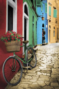 BIKE flowers