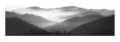 KOSOFF mist hills