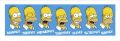 THE SIMPSONS homer faces