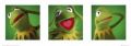 THE MUPPETS�kermit