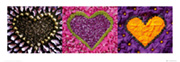 MADALENES HEARTS purple - reprodukcja