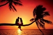 Summer Love Summer Love